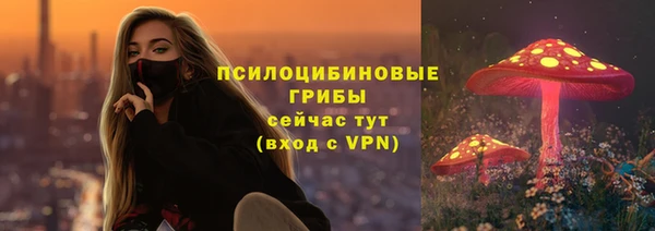 PSILOCYBIN Няндома