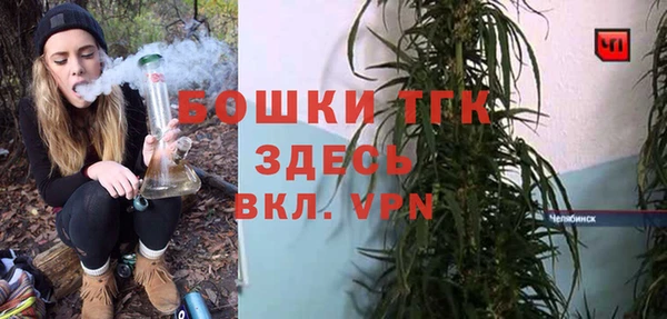 PSILOCYBIN Няндома