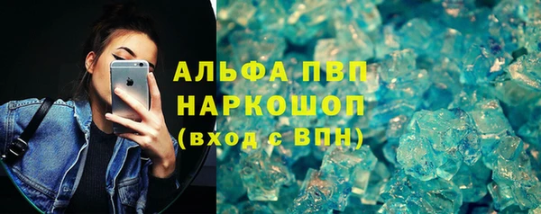 гидра Новокубанск
